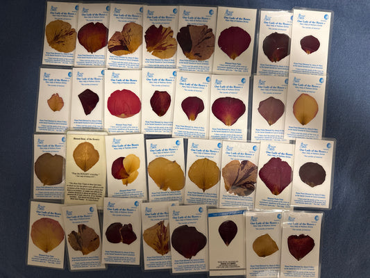 Holy Cards 1 - Lot of 32 rose petal Our Lady of the Roses